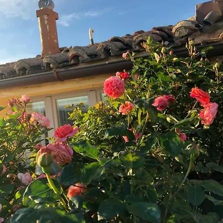 Mini Fontana Maggiore 2* Perugia