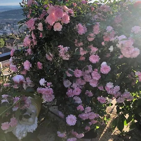 Feriested Mini Fontana Maggiore 2*
