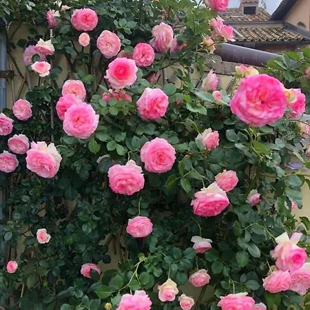 Mini Fontana Maggiore Resort Perugia