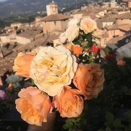 Mini Fontana Maggiore Resort Perúgia