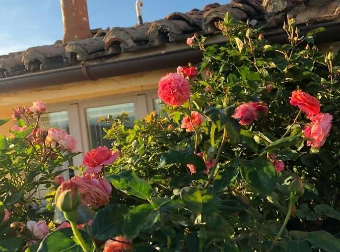 Mini Fontana Maggiore 2* Perúgia