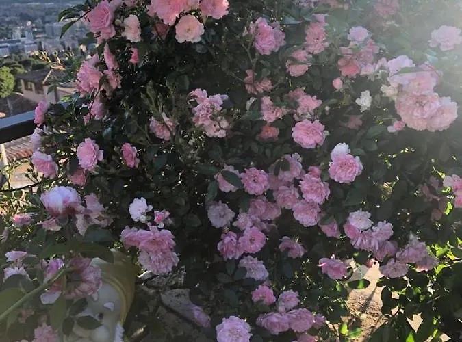 Resort Mini Fontana Maggiore 2*